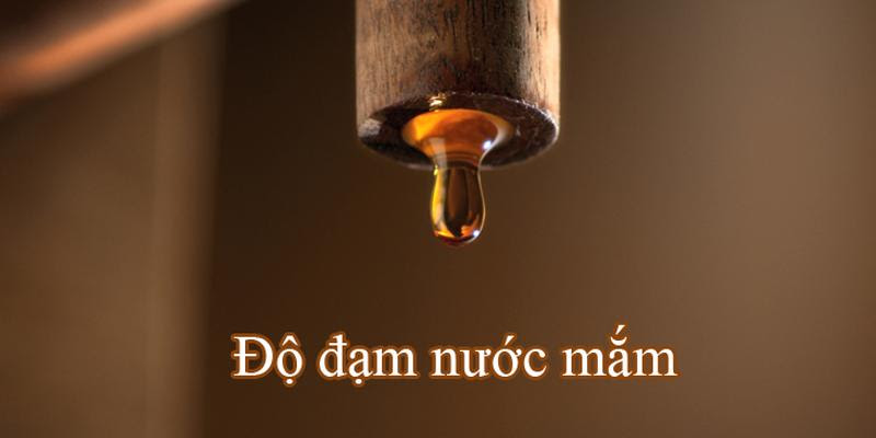 Không bàn mà vẫn ưng khi có nước mắm nhĩ tinh khiết trong bữa cơm